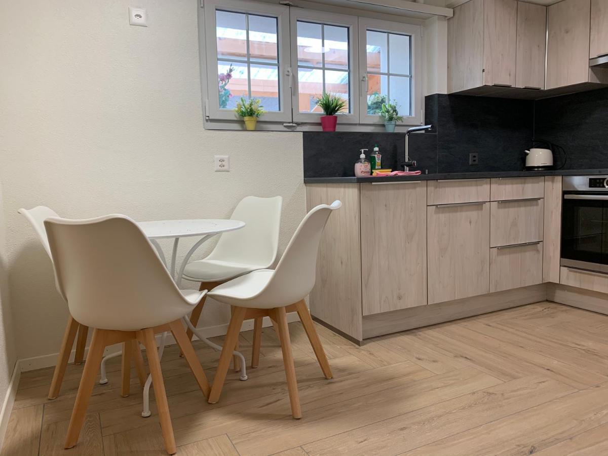 Eiger, Jungfrau, Luxury Garden Apartment Grindelwald Zewnętrze zdjęcie