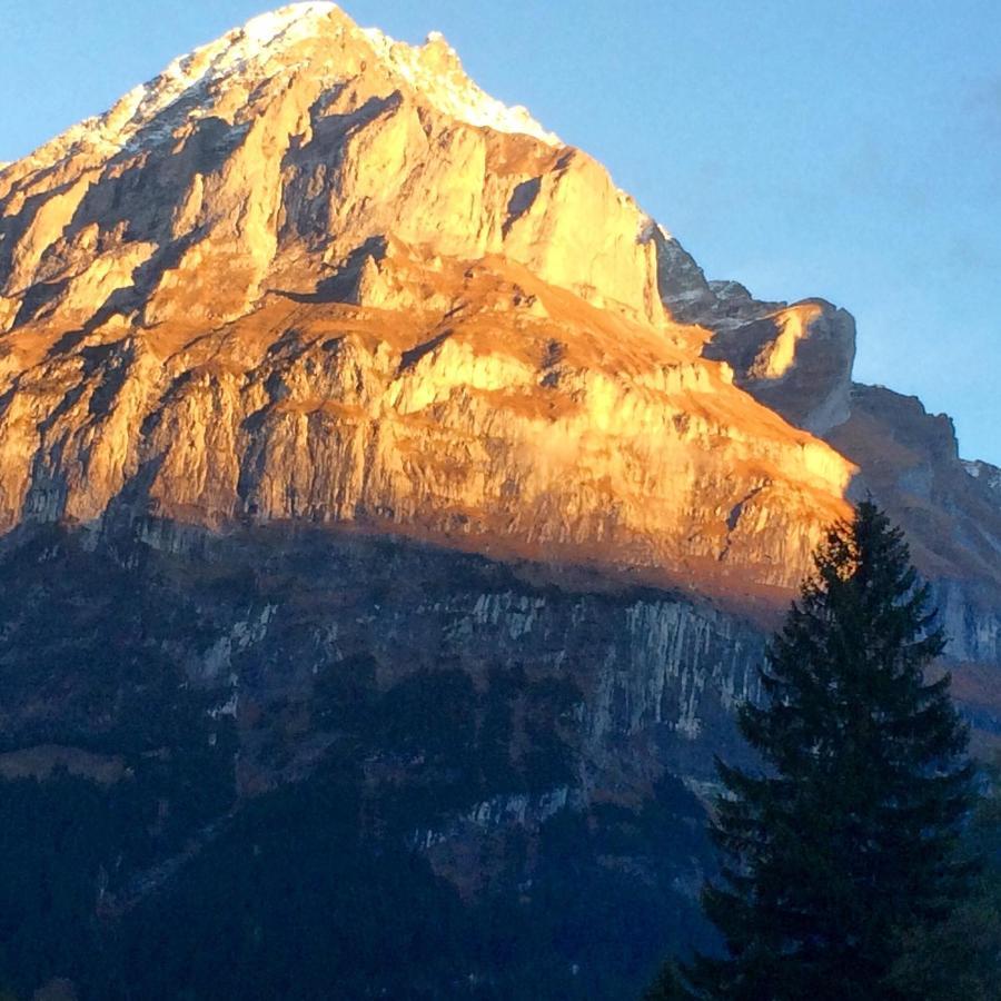 Eiger, Jungfrau, Luxury Garden Apartment Grindelwald Zewnętrze zdjęcie