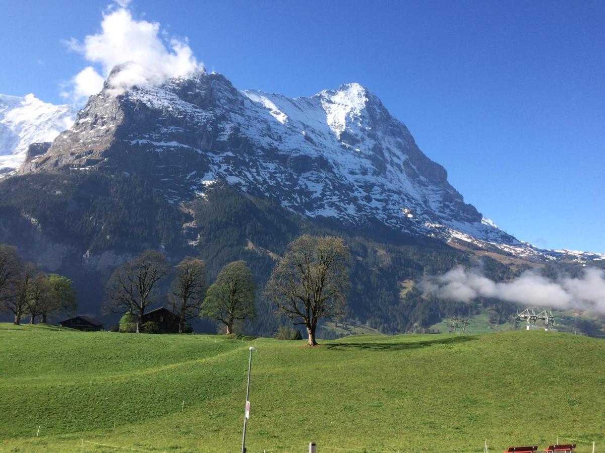 Eiger, Jungfrau, Luxury Garden Apartment Grindelwald Zewnętrze zdjęcie