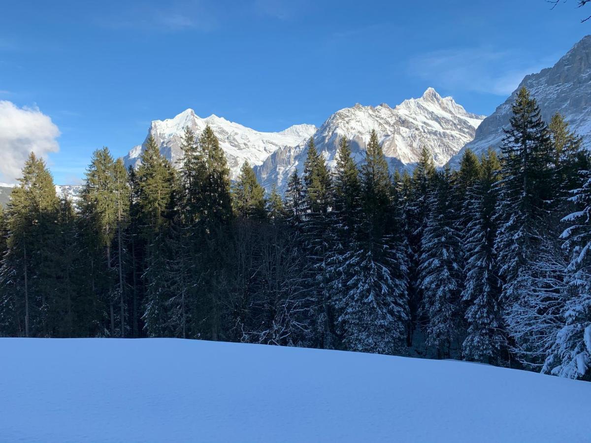 Eiger, Jungfrau, Luxury Garden Apartment Grindelwald Zewnętrze zdjęcie