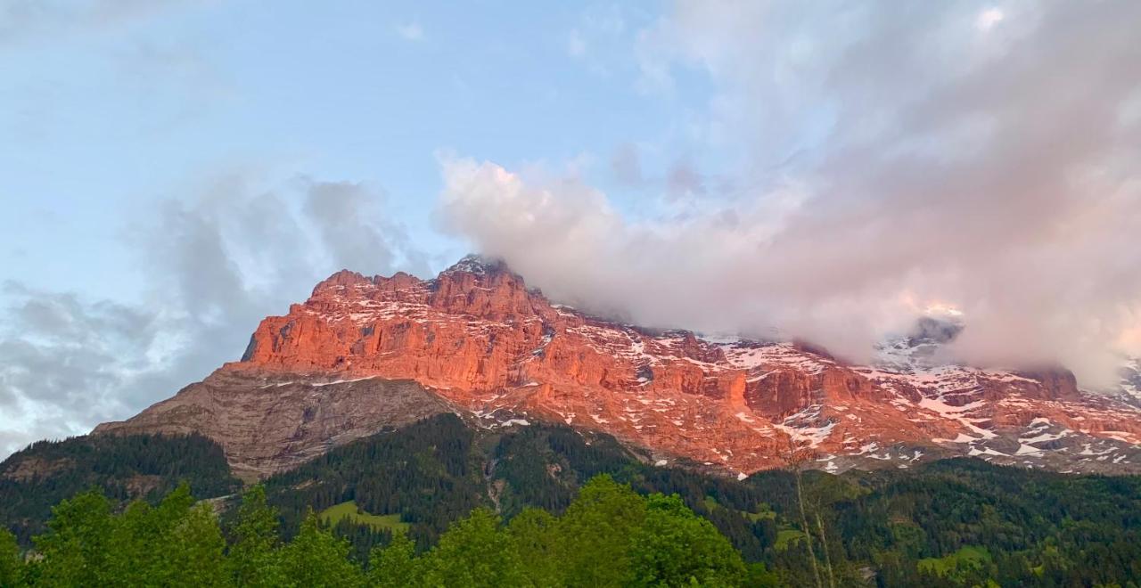 Eiger, Jungfrau, Luxury Garden Apartment Grindelwald Zewnętrze zdjęcie