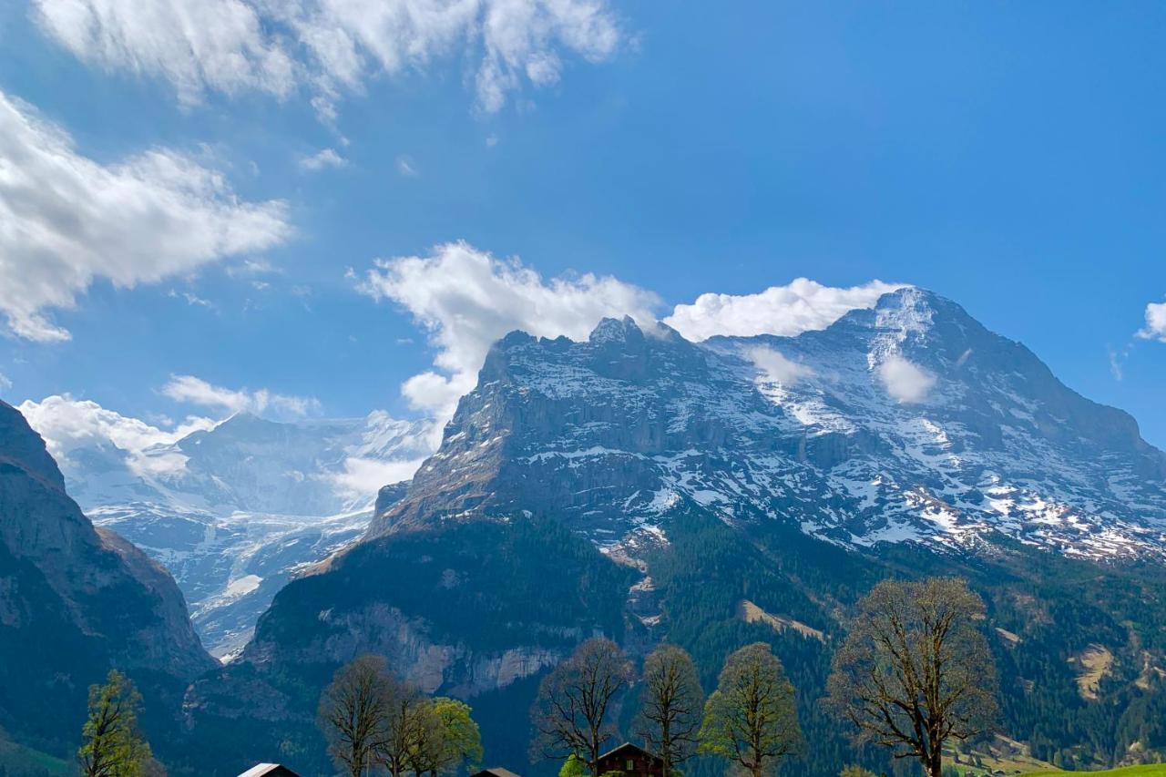 Eiger, Jungfrau, Luxury Garden Apartment Grindelwald Zewnętrze zdjęcie