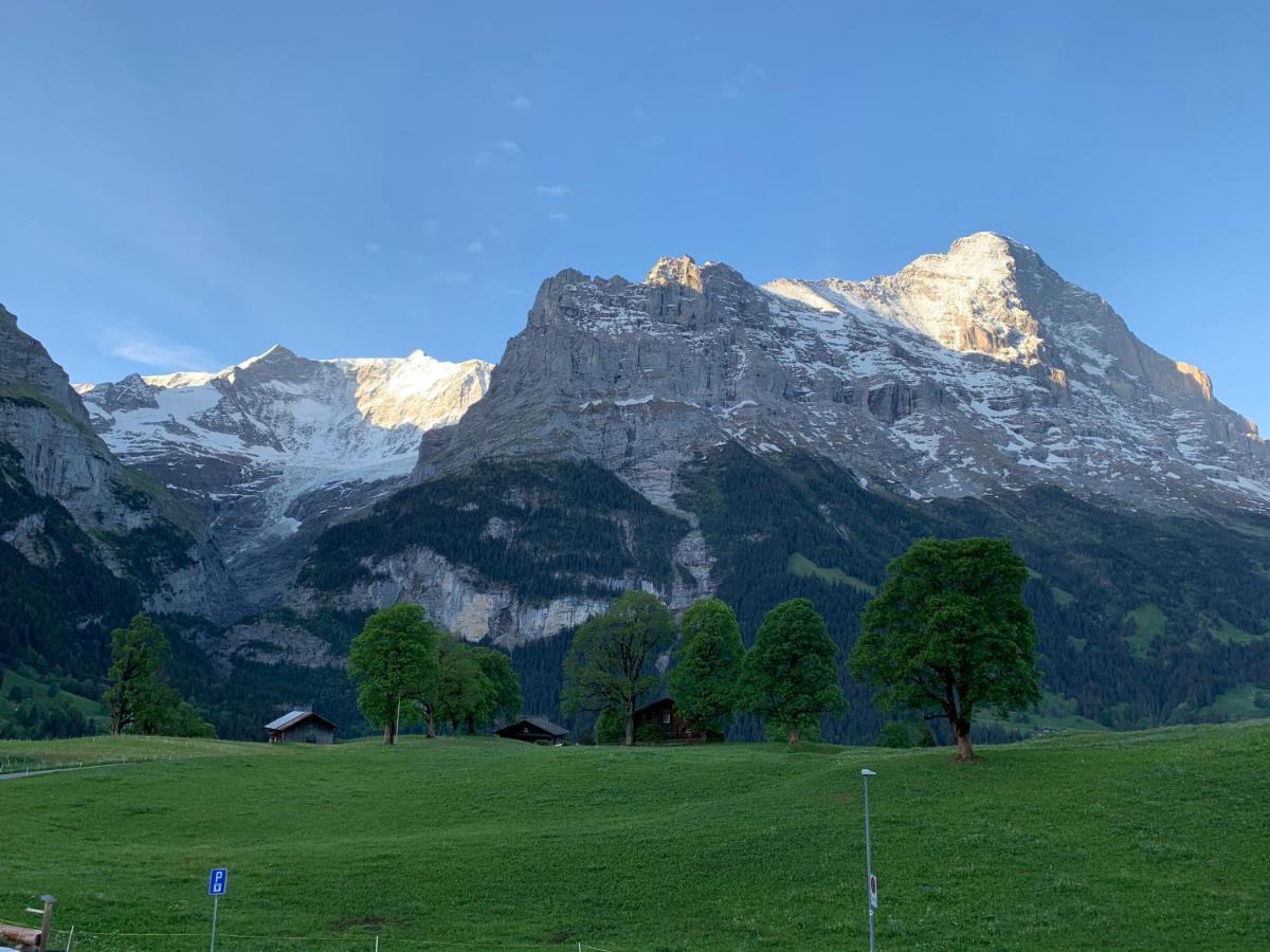 Eiger, Jungfrau, Luxury Garden Apartment Grindelwald Zewnętrze zdjęcie