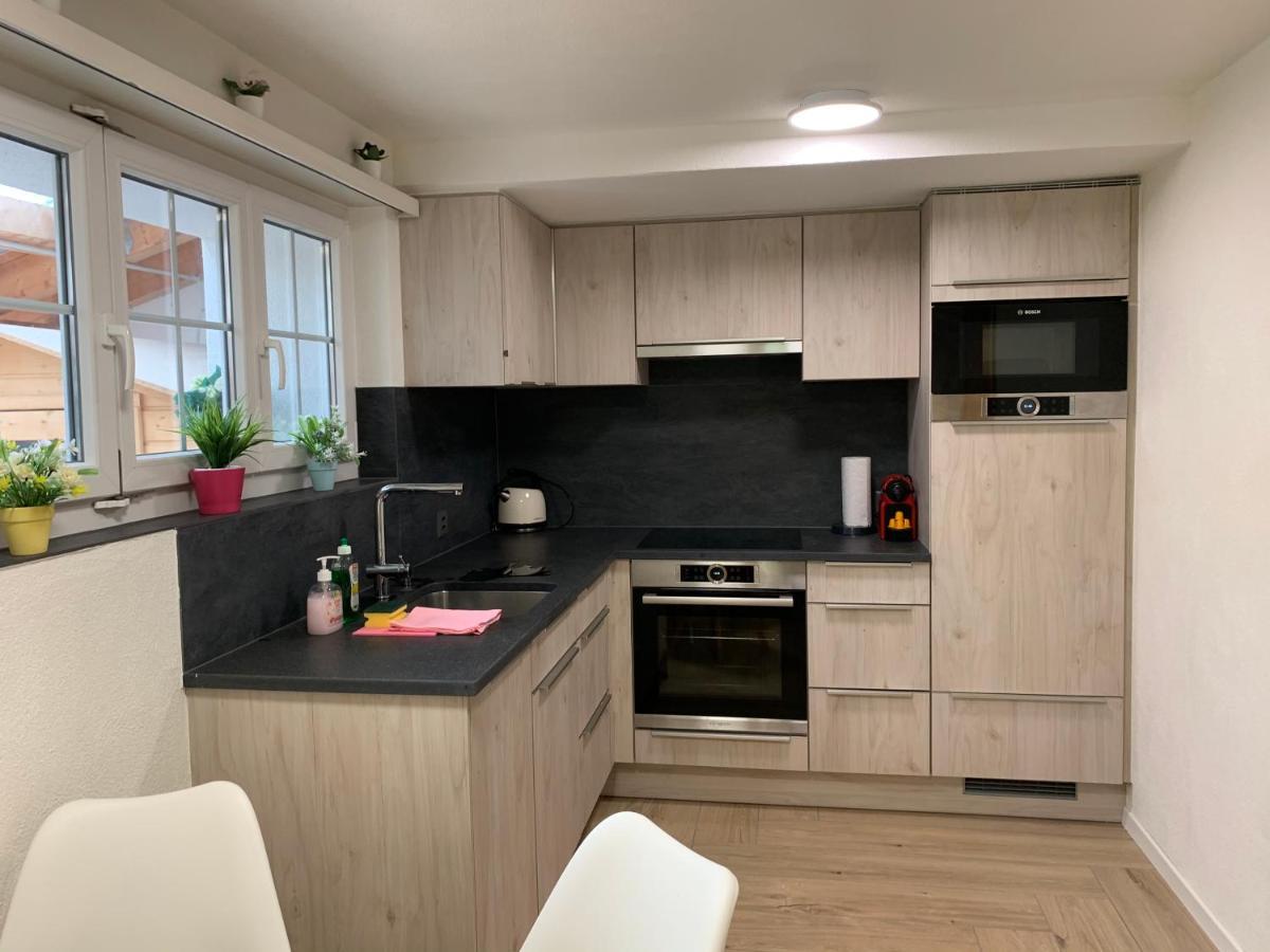 Eiger, Jungfrau, Luxury Garden Apartment Grindelwald Zewnętrze zdjęcie